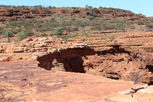 Kings Canyon & Alice Springs-052